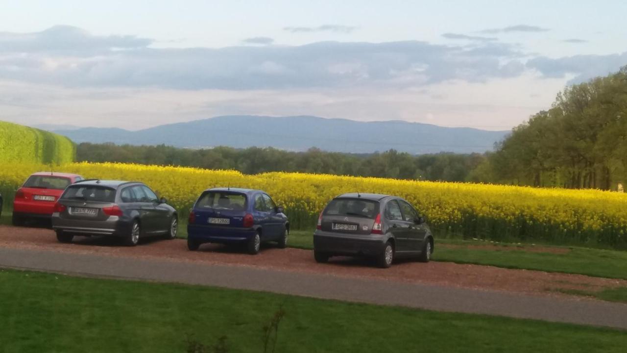 Palac Bazantarnia Pszczyna Luaran gambar